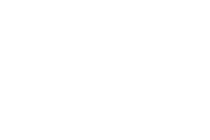 Natilus Logo White 300x200